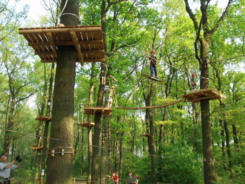 csm_Kletterwald_Leipzig__Karsten_Moeller_3_2e0e92daaf